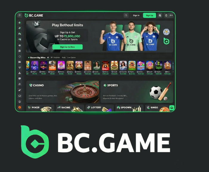 Exploring BC.Game Crypto Casino A New Frontier in Online Gaming